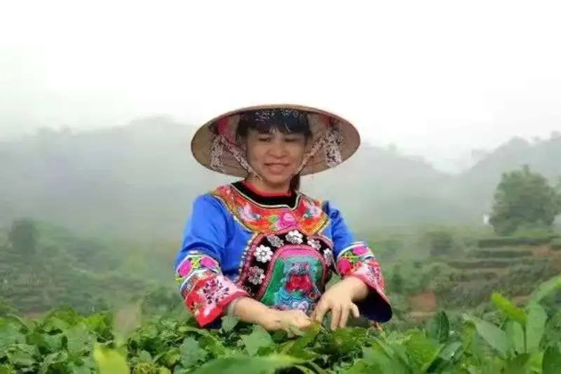 【梧州工匠】劉錦芳：鉆研和創(chuàng)新，帶領鄉(xiāng)親發(fā)家致富