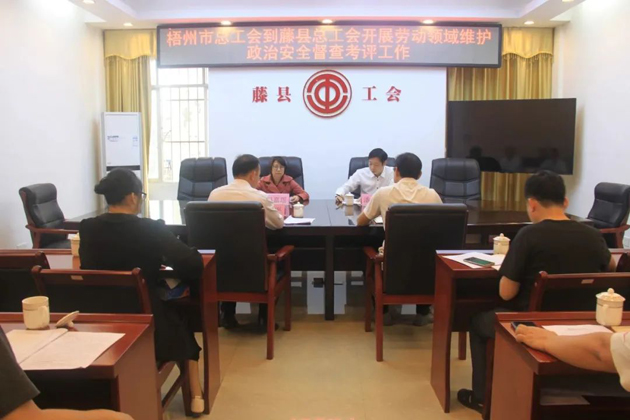 梧州市總工會領導到藤縣開展勞動領域維護政治安全督查考評工作