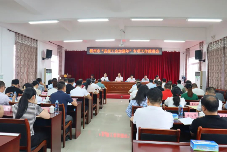 梧州市召開(kāi)“縣級(jí)工會(huì)加強(qiáng)年”專(zhuān)項(xiàng)工作推進(jìn)會(huì)