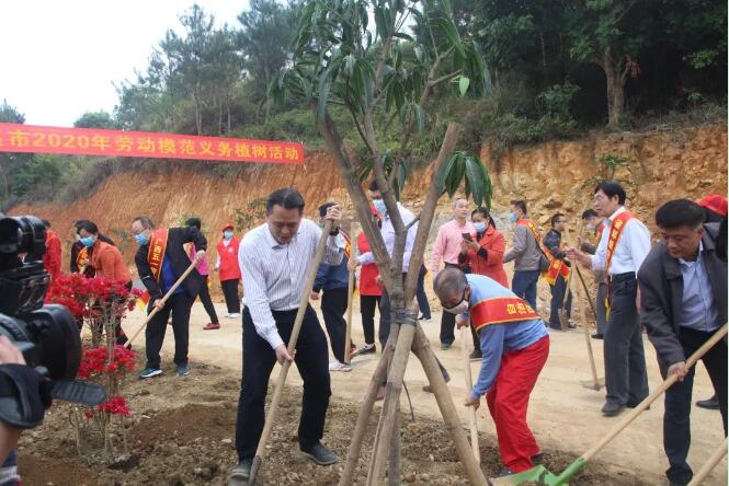 植樹造林，這群楷模這樣做