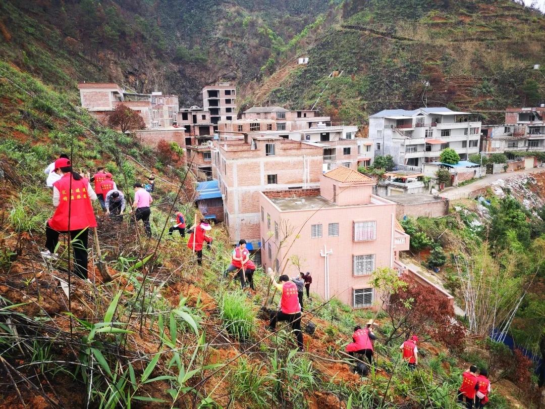 梧州市總工會(huì)開展2020年義務(wù)植樹活動(dòng)