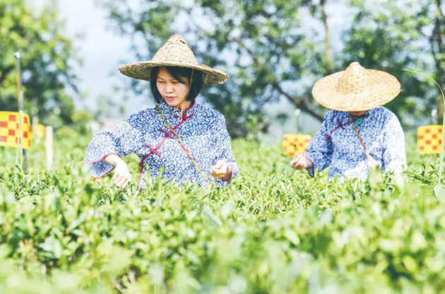 國家批復同意，梧州籌建！