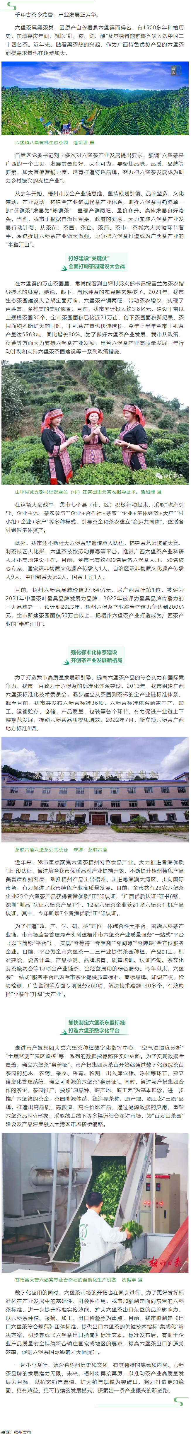 從一片葉子探索產(chǎn)業(yè)振興新路子丨梧州市以全產(chǎn)業(yè)鏈思維推動六堡茶產(chǎn)業(yè)發(fā)展.png