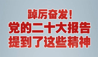 【黨的二十大】踔厲奮發(fā)！黨的二十大報告提到了這些精神