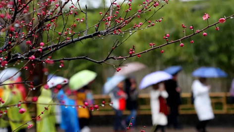 今日雨水！別忘了咱的老講究！