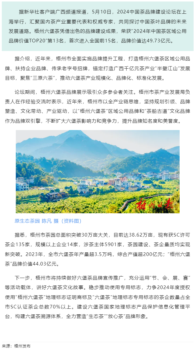 排名全國第13名！“梧州六堡茶”品牌價值實現(xiàn)新突破.png
