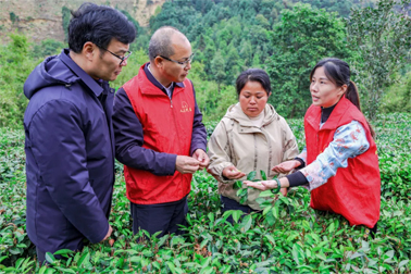 從春天出發(fā)