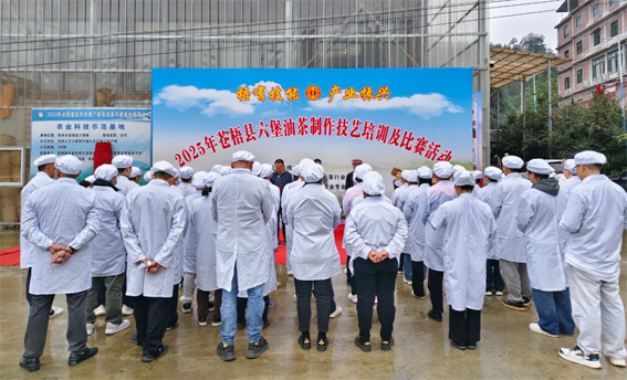 2025年蒼梧縣六堡油茶制作技藝培訓(xùn)及比賽活動(dòng)圓滿(mǎn)落幕！