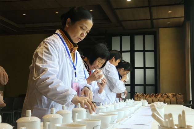 以賽促優(yōu) 以評(píng)提質(zhì)——2025年蒼梧縣第一屆傳統(tǒng)工藝六堡茶評(píng)比大賽圓滿落幕